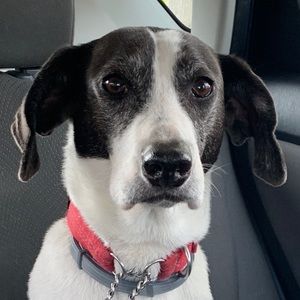 Meet your Posher, Jack